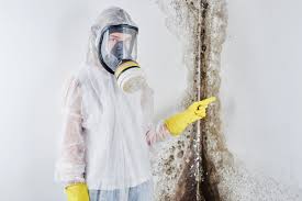 Best Environmental Consulting for Mold Prevention  in Mattoon, IL